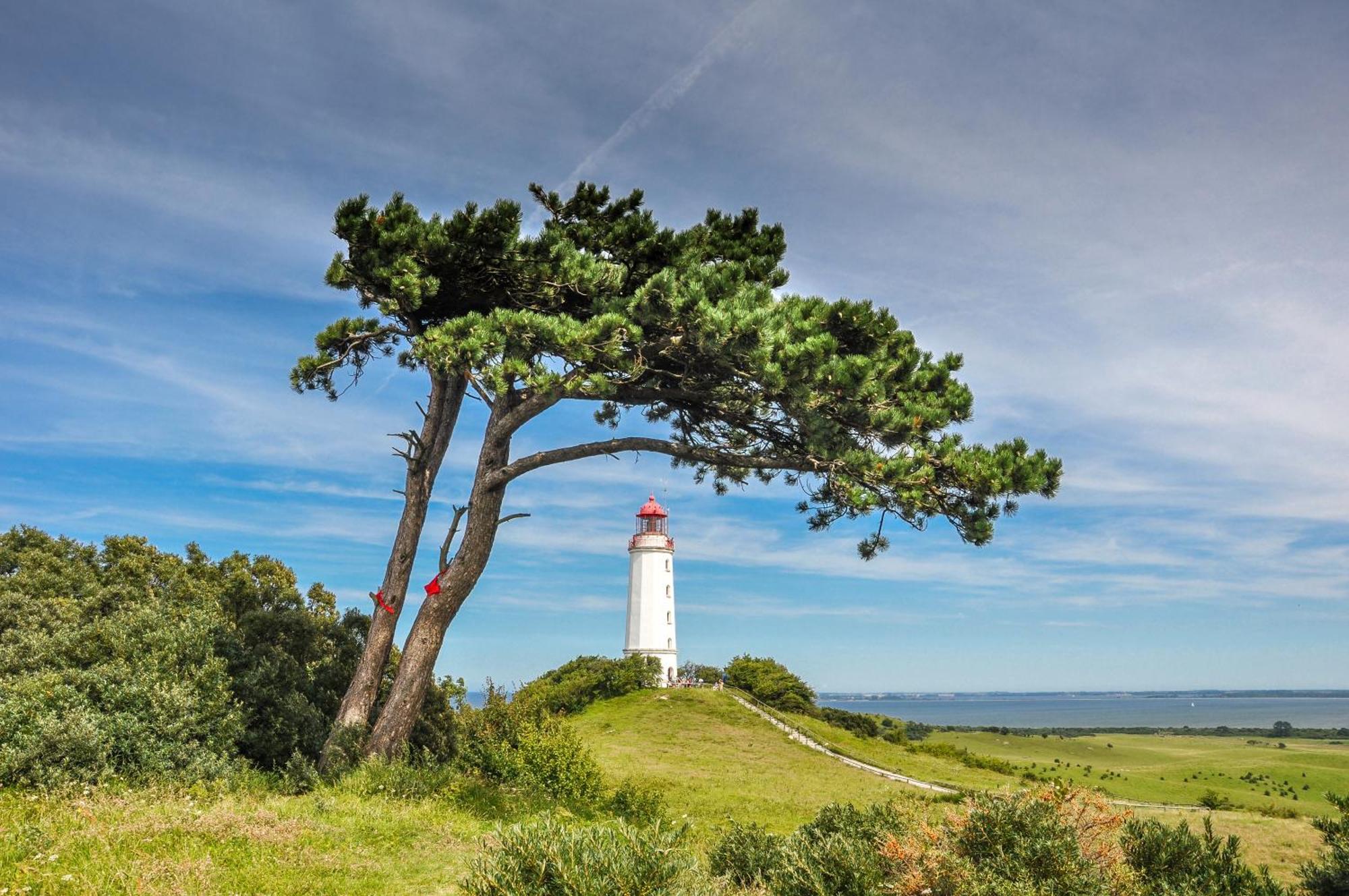 Hotel Ruegenschmiede Vis A Vis Hiddensee Schaprode Eksteriør billede